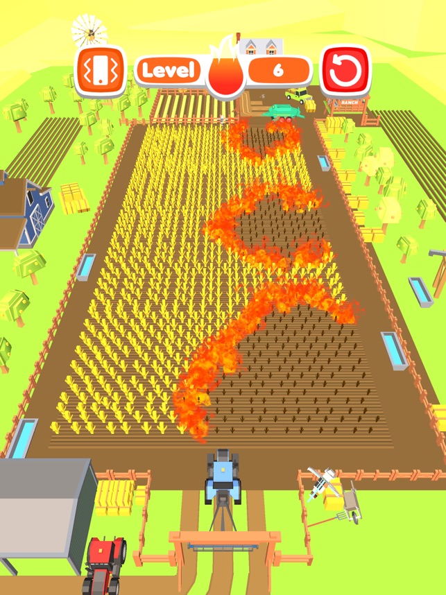 Farm Fire