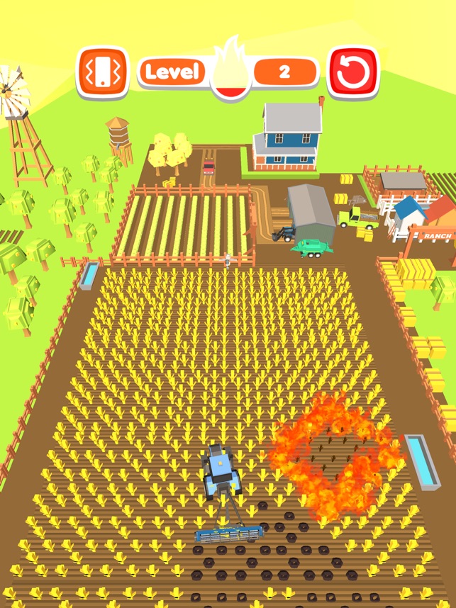 Farm Fire